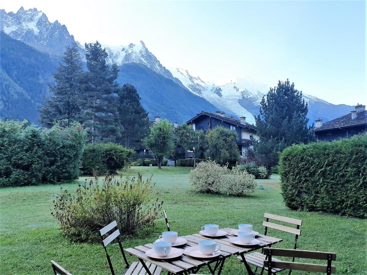 Vue Mont Blanc Avec Jardin