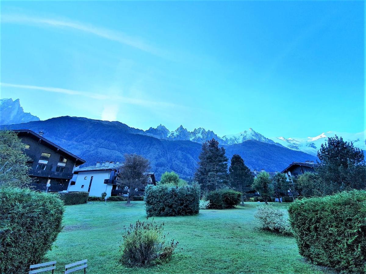 Appartamento Vue Mont Blanc Avec Jardin *