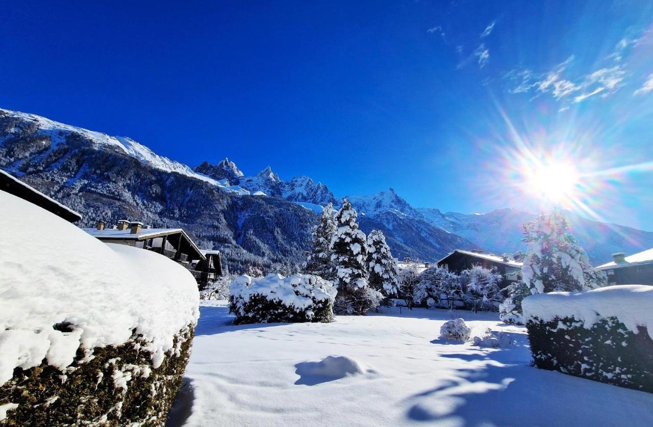 Vue Mont Blanc Avec Jardin * Chamonix