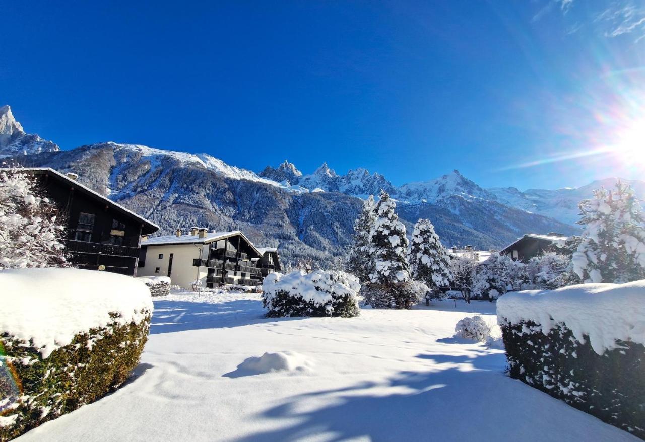 Vue Mont Blanc Avec Jardin Appartamento *