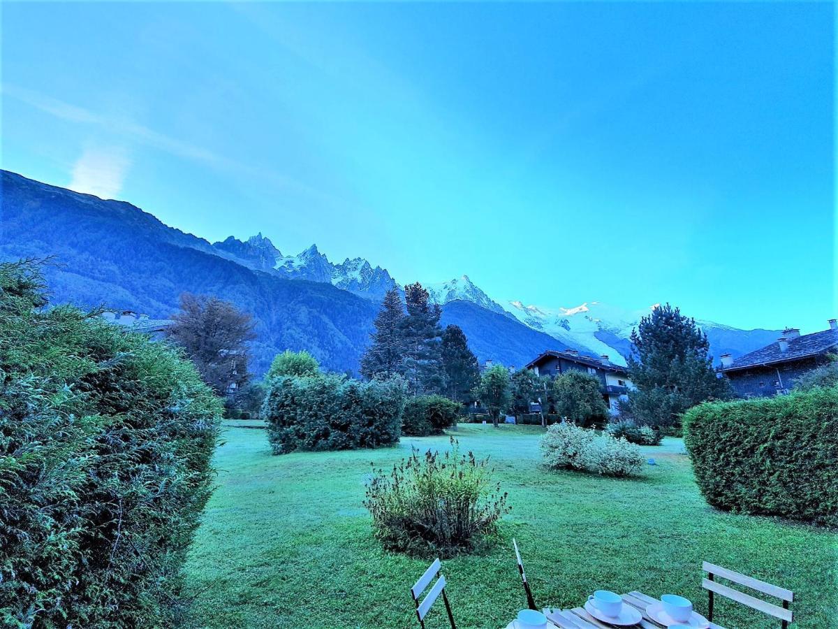 Vue Mont Blanc Avec Jardin Apartamento Chamonix